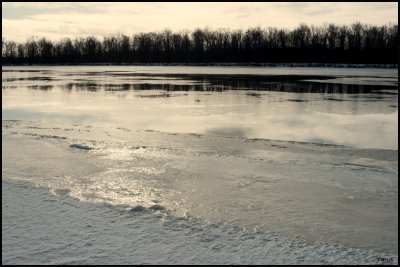Reflet glacial/Icy Reflection