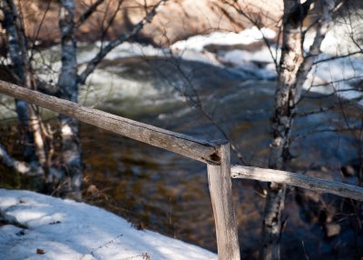 Clture rudimentaire/Rudimentary Fence