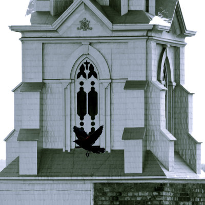 Clocher et oiseau/Church Tower and Bird