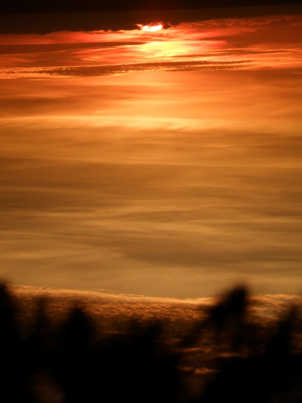 Oregon Coast Sunset