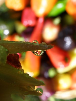 Basket of peppers in a raindrop