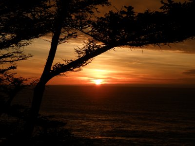 Oregon Sunset  Cape Arago