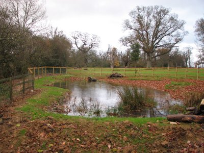End November 2009