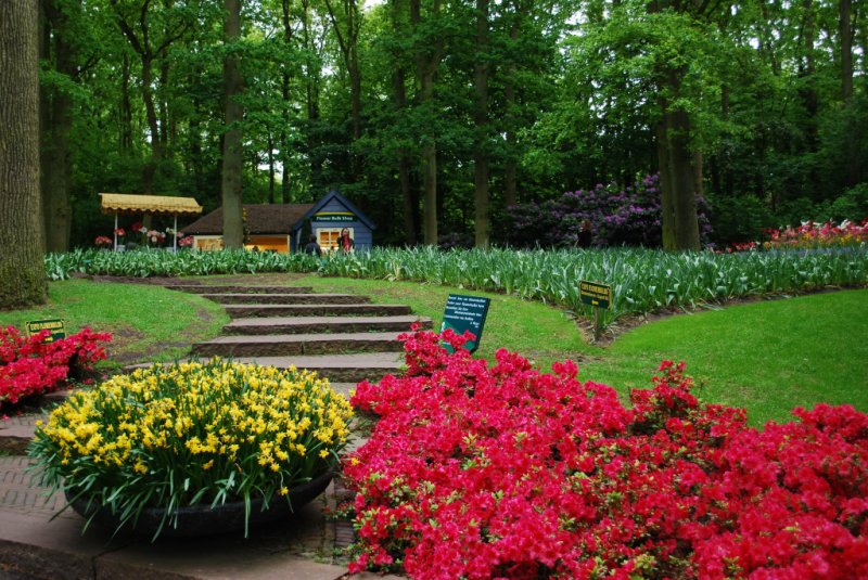 Kuekenhof264.JPG