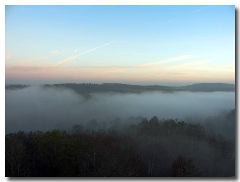 Foggy Morning 1-4-2006