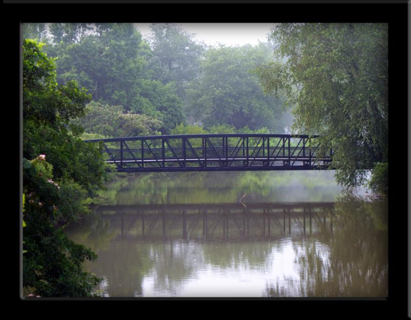 The bridge in summer