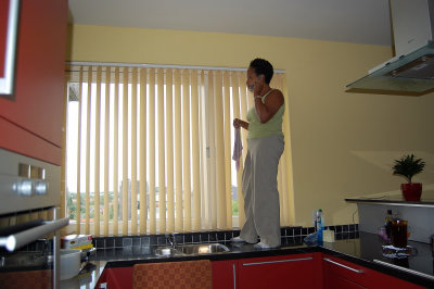 Nancy cleaning the windows