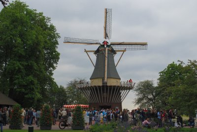 Kuekenhof116.JPG