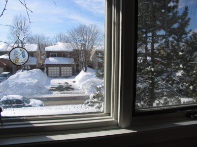 Snow from my bedroom window.JPG