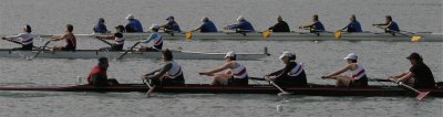 IMG_9836.jpg