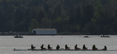 IMG_9847.jpg