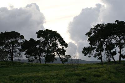 Kiryat Tivon, Israel