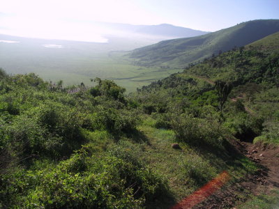 Ngorongoro: heading into the crater