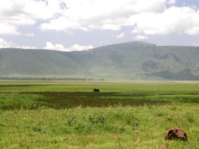 Ngorongoro silhouette