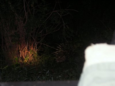 g3/78/299978/3/120926422.OCpWTwkL.jpg