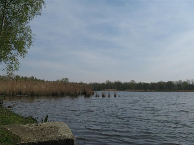 bij Campinastrand Dessel