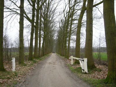 tussen Hoonhorst en Den Aalshorst