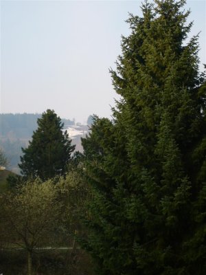 g3/78/312478/3/111636346.BDJ35QwD.jpg