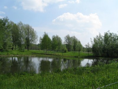 g3/78/312478/3/111955424.RPPztBt2.jpg
