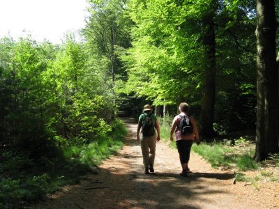 Maartendijkse Bos