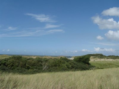 g3/78/312478/3/115443288.sxkFkngv.jpg
