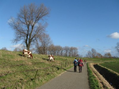 richting Krabbendijke