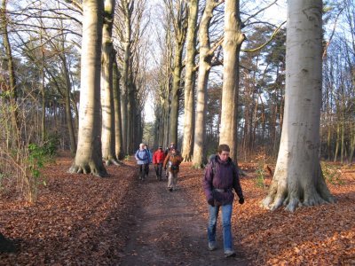 Groot Molenbeekseweg