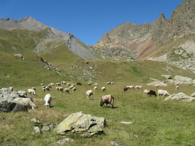 nabij Refuge de Vallonpierre