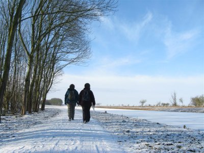 Natuurgebied Oostvaardersplassen