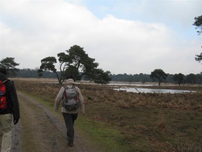 Strijbeekse heide