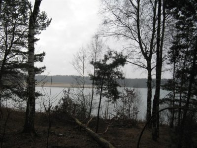 g3/78/312478/3/122161111.3qNDkSRN.jpg