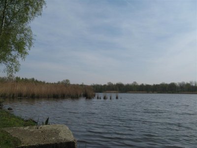 bij Campinastrand Dessel