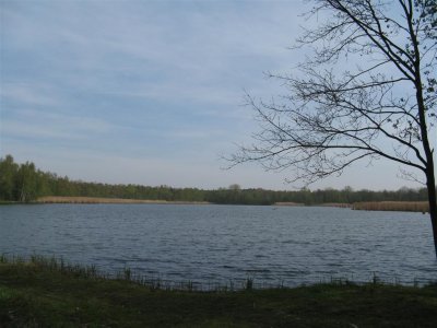 bij Campinastrand Dessel