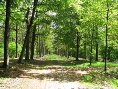 Bij Kasteel Eerde