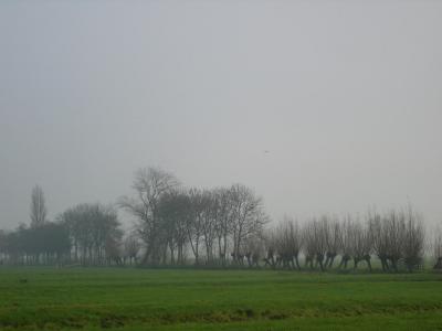 P1000351(1).JPG