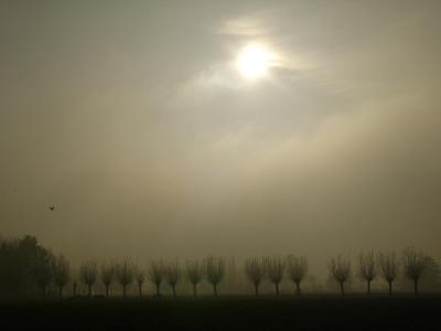 P1000361(1).JPG