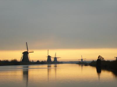 P1000387(1).JPG