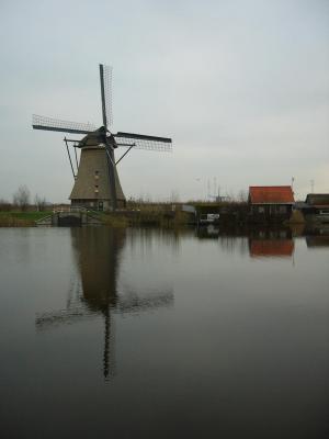 P1000389(1).JPG
