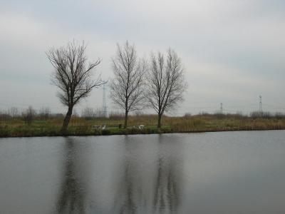 P1000396(1).JPG