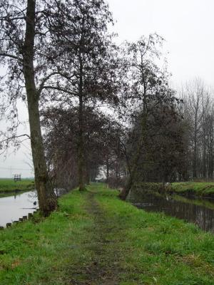 P1000397(1).JPG