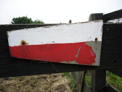 P1000409(1).JPG