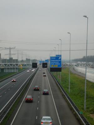 P1000411(1).JPG