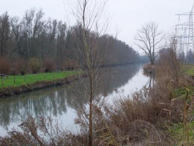 P1000416(1).JPG