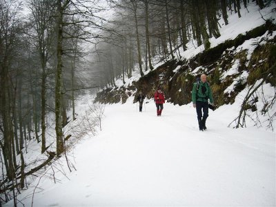 GR5 Wandeling Thann - Les Allies (van de Vogezen richting de Jura) in 2008