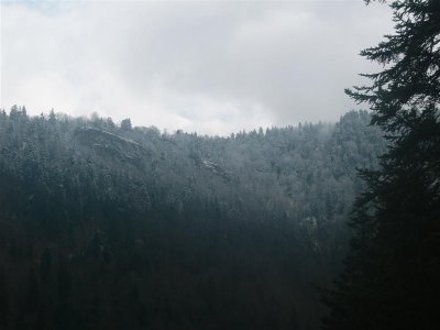 sneeuw op bomen langs de Doubs