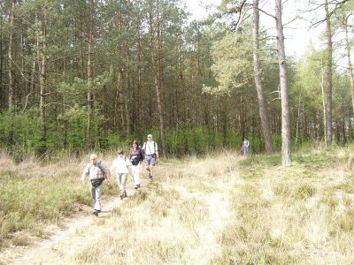 bij de Ginkelse Heide