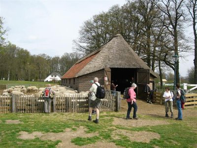 Schaapskooi  Ginkelse Heide