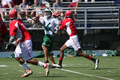 IMG_7446.jpg