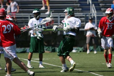 IMG_7471.jpg