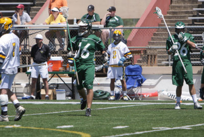 IMG_7887.jpg